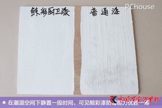 廚衛(wèi)空間的保潔衛(wèi)士 鯨彩颯緹廚衛(wèi)漆評(píng)測