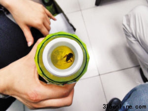 昨日,市民江女士在從彩田路某商場購回的飲料中發(fā)現(xiàn)一只蟑螂。 深圳商報記者 彭晨攝