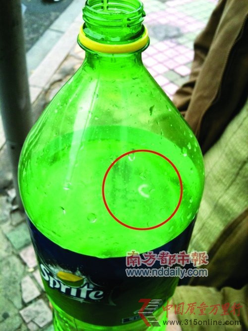 瓶里的蟲(chóng)子(紅圈處)讓樊先生看起來(lái)就反胃。南都記者謝亮輝攝 瓶里的蟲(chóng)子(紅圈處)讓樊先生看起來(lái)就反胃。南都記者謝亮輝攝