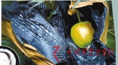 roO׵ˎմMrˎ(СD)İɫˎĩ