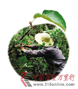 h(yun)S304ʡ߅һƬO(png)@r(nng)ڽoO(png)ˎAl(f)